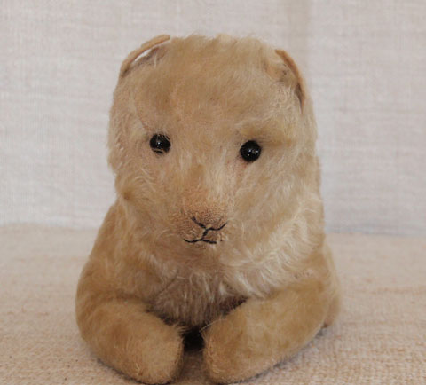 Mohair Cat