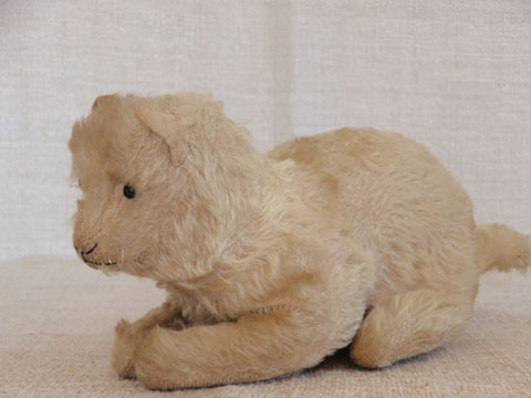 Mohair Cat